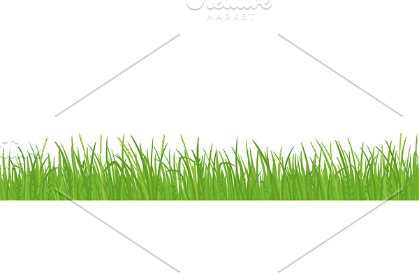 Grass lawn vector background. Green
