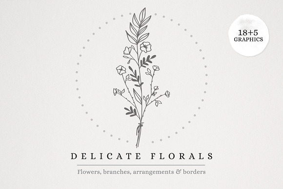 Delicate Florals & Borders in Illustrations - product preview 4