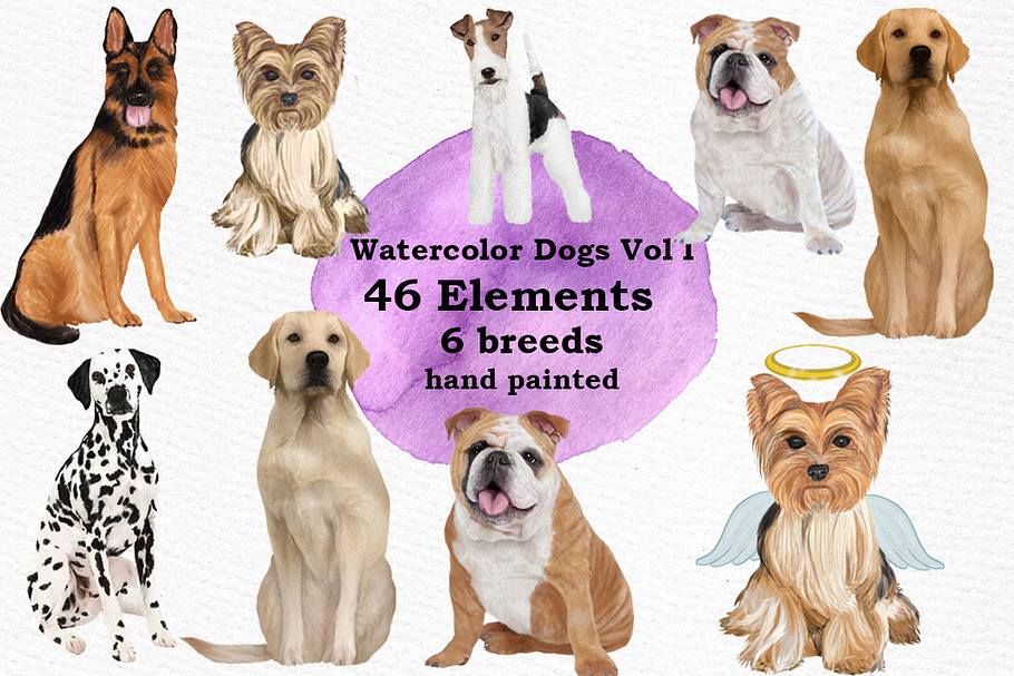 Dogs Clipart Dog breeds Pet clipart in Illustrations - product preview 8