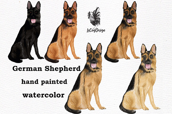 Dogs Clipart Dog breeds Pet clipart in Illustrations - product preview 1