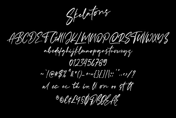 Skelatons Handmade Brush Font in Script Fonts - product preview 6