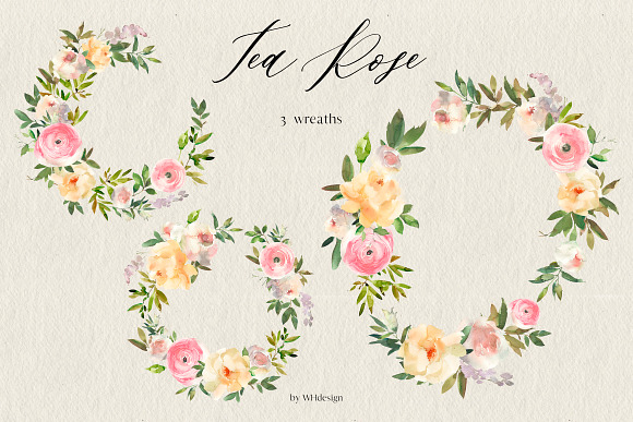 Tea Rose Watercolor Floral Clipart in Illustrations - product preview 2