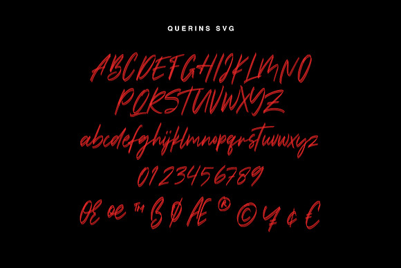 Querins SVG Brush Font in Display Fonts - product preview 2