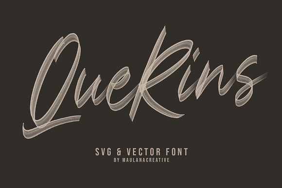 Querins SVG Brush Font in Display Fonts - product preview 6