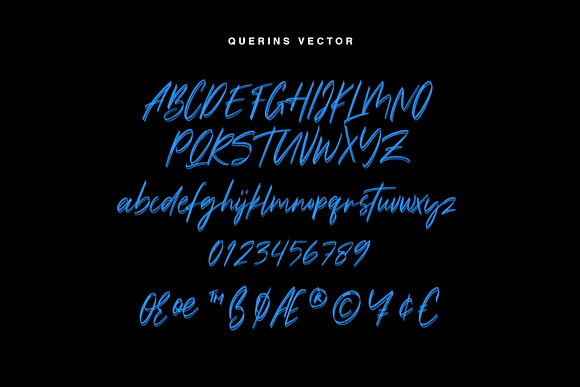 Querins SVG Brush Font in Display Fonts - product preview 7