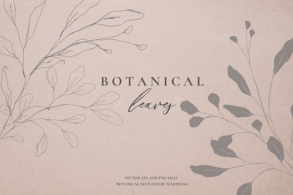 Botanical leaves - sketched florals in Illustrations - product preview 1