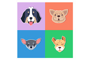 Four Canine Heads of Pedigreed Dogs