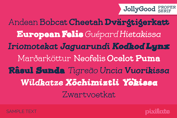 JollyGood Proper Serif in Slab Serif Fonts - product preview 5