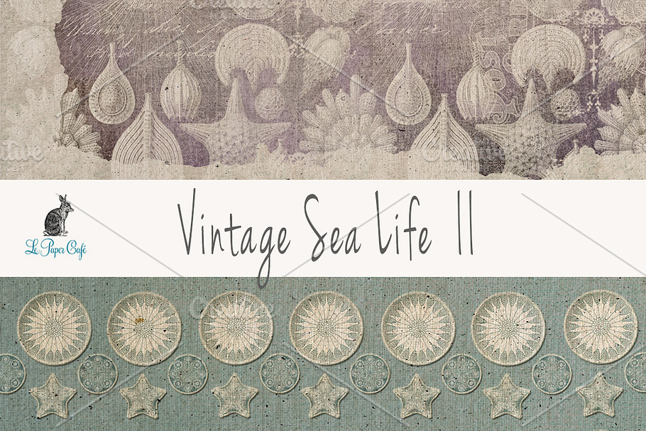 Vintage Sea Life II Digital Papers