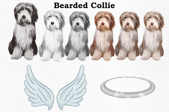 Dogs Clipart Dog breeds Pet clipart in Illustrations - product preview 4