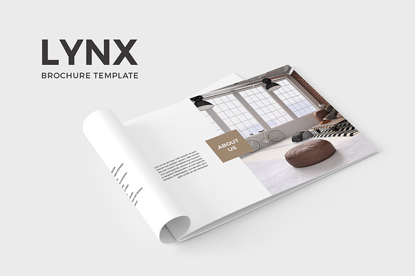 Lynx Publisher Brochure Template