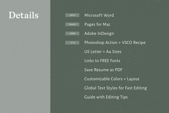 Resume with Picture / CV with Photo in Resume Templates - product preview 6