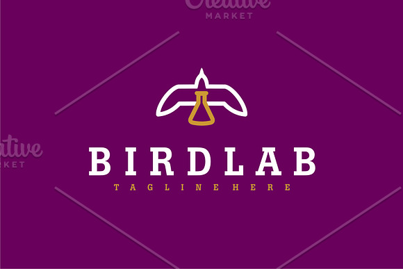 BIRDLAB in Logo Templates - product preview 1