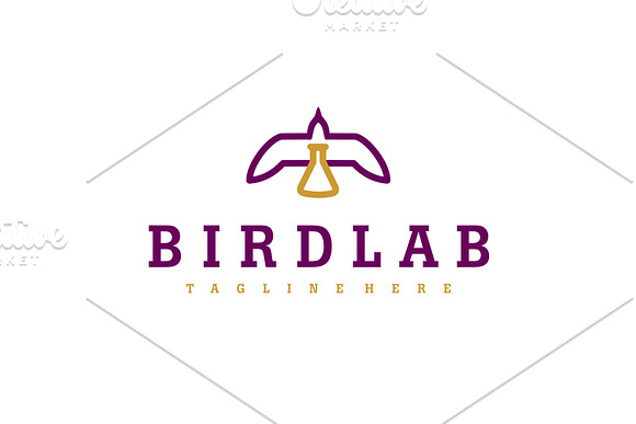 BIRDLAB in Logo Templates - product preview 2