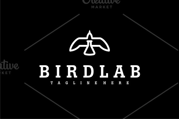 BIRDLAB in Logo Templates - product preview 3