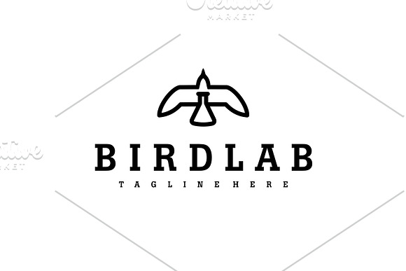 BIRDLAB in Logo Templates - product preview 4