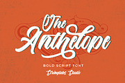 The Anthelope - Retro Script Font