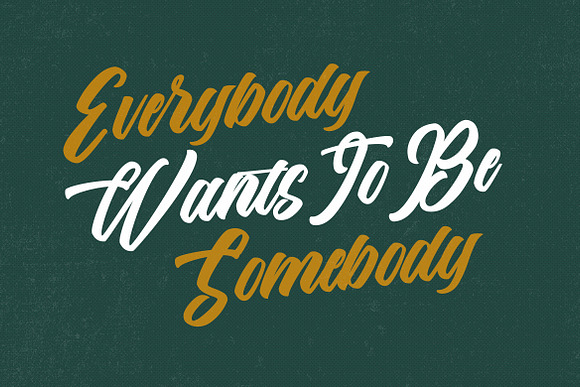 The Anthelope - Retro Script Font in Script Fonts - product preview 5