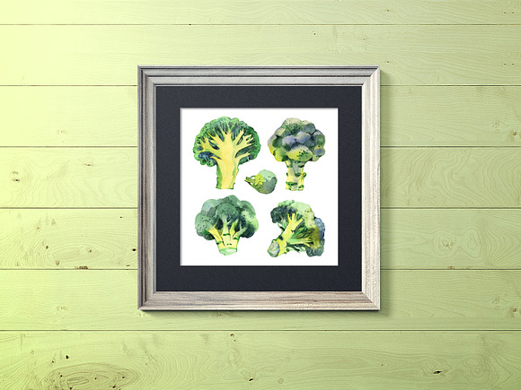 Broccoli. Watercolor cliparts. in Illustrations - product preview 4