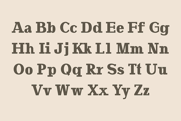 Adena Slab Serif Font Family in Slab Serif Fonts - product preview 1