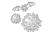 Coronavirus Bacteria Cell and bat