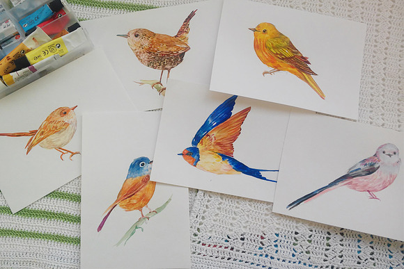 collection of watercolor birds in Illustrations - product preview 1