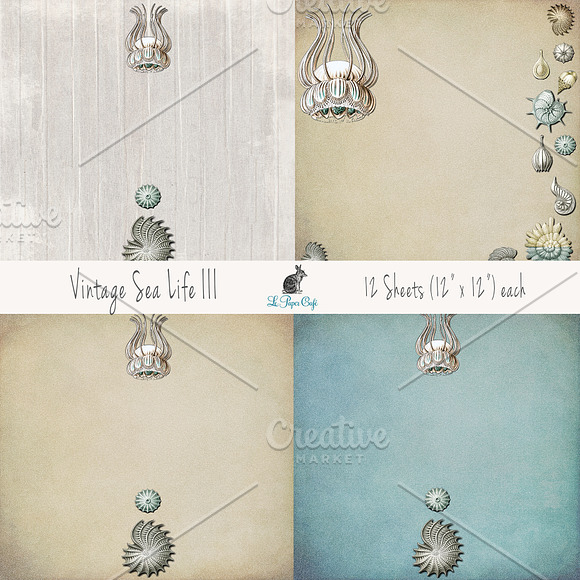 Vintage Sea Life III Papers in Textures - product preview 2