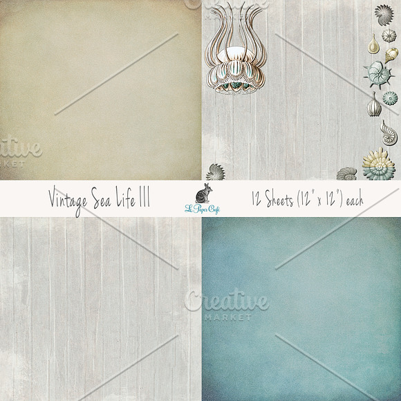 Vintage Sea Life III Papers in Textures - product preview 4