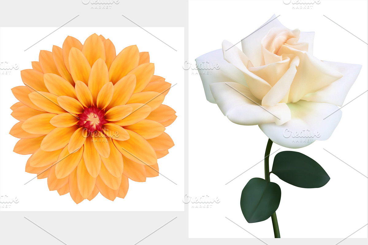 Set of flowers. Photo-realistic in Objects - product preview 8