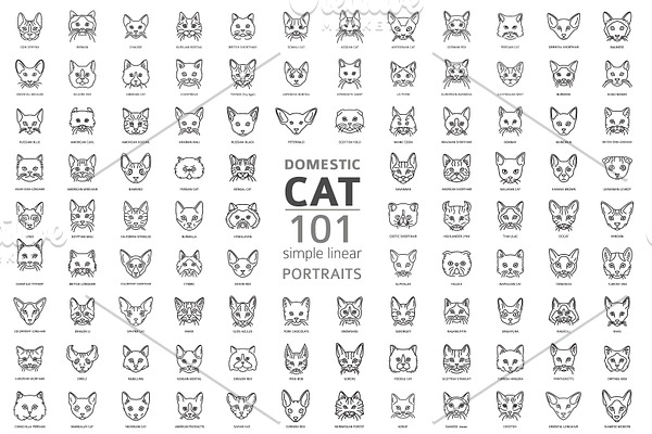 Cat portrait simple line set