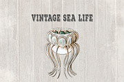 Vintage Sea Life IV Papers
