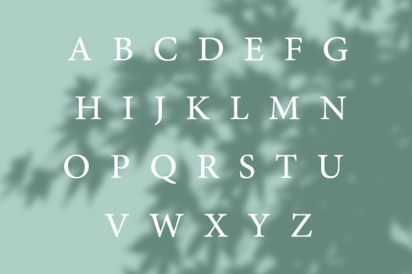 Verde Elegant Modern Font in Sans-Serif Fonts - product preview 1