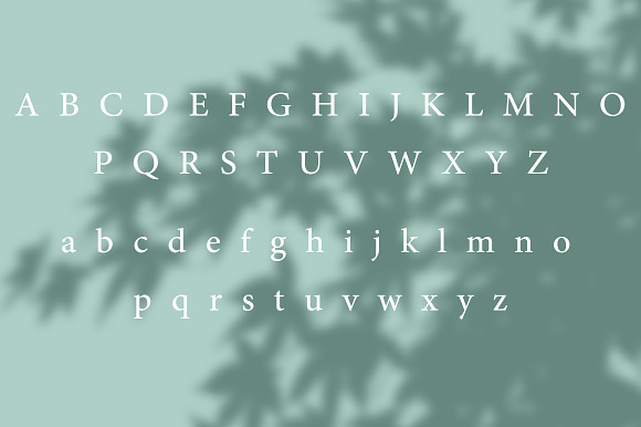 Verde Elegant Modern Font in Sans-Serif Fonts - product preview 7