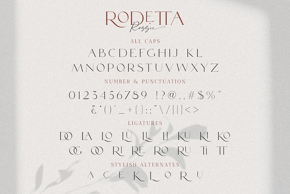 Rodetta Rossie Font Duo + Logos in Serif Fonts - product preview 16