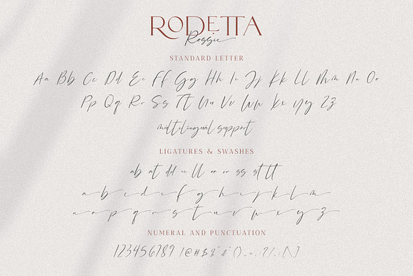 Rodetta Rossie Font Duo + Logos in Serif Fonts - product preview 17