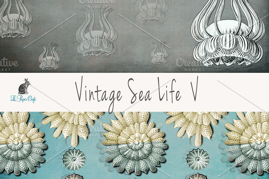 Vintage Sea Life V Papers