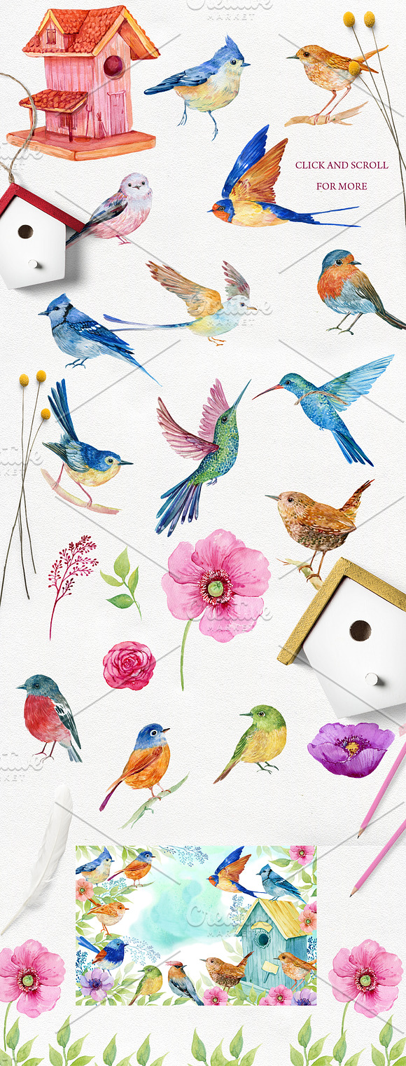 collection of watercolor birds in Illustrations - product preview 5