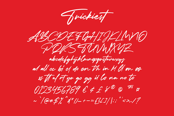 Trickiest Signature Font in Script Fonts - product preview 6