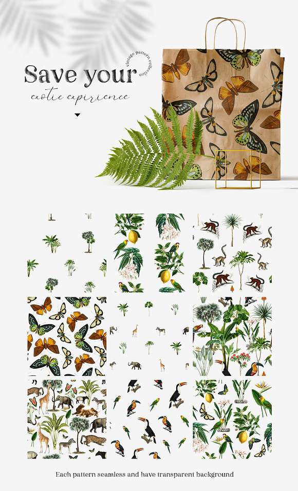 Wild tropic vintage pattern set in Patterns - product preview 2