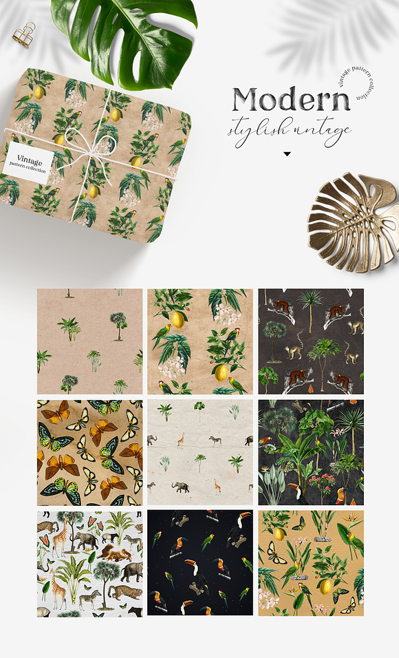 Wild tropic vintage pattern set in Patterns - product preview 6