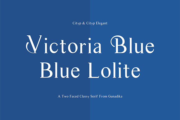Cityp Serif Font in Serif Fonts - product preview 3