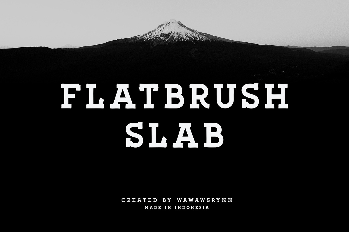 FLATBRSUH SLAB in Slab Serif Fonts - product preview 8