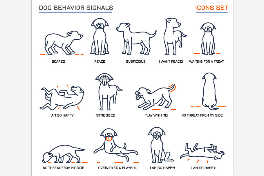Dog Behavior Icons in Icons - product preview 8