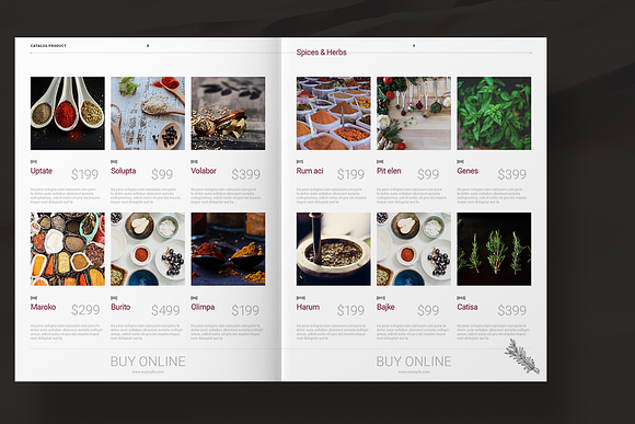 Spices Catalog in Brochure Templates - product preview 4