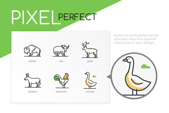 Animals - Highlight Icons in Graphics - product preview 2