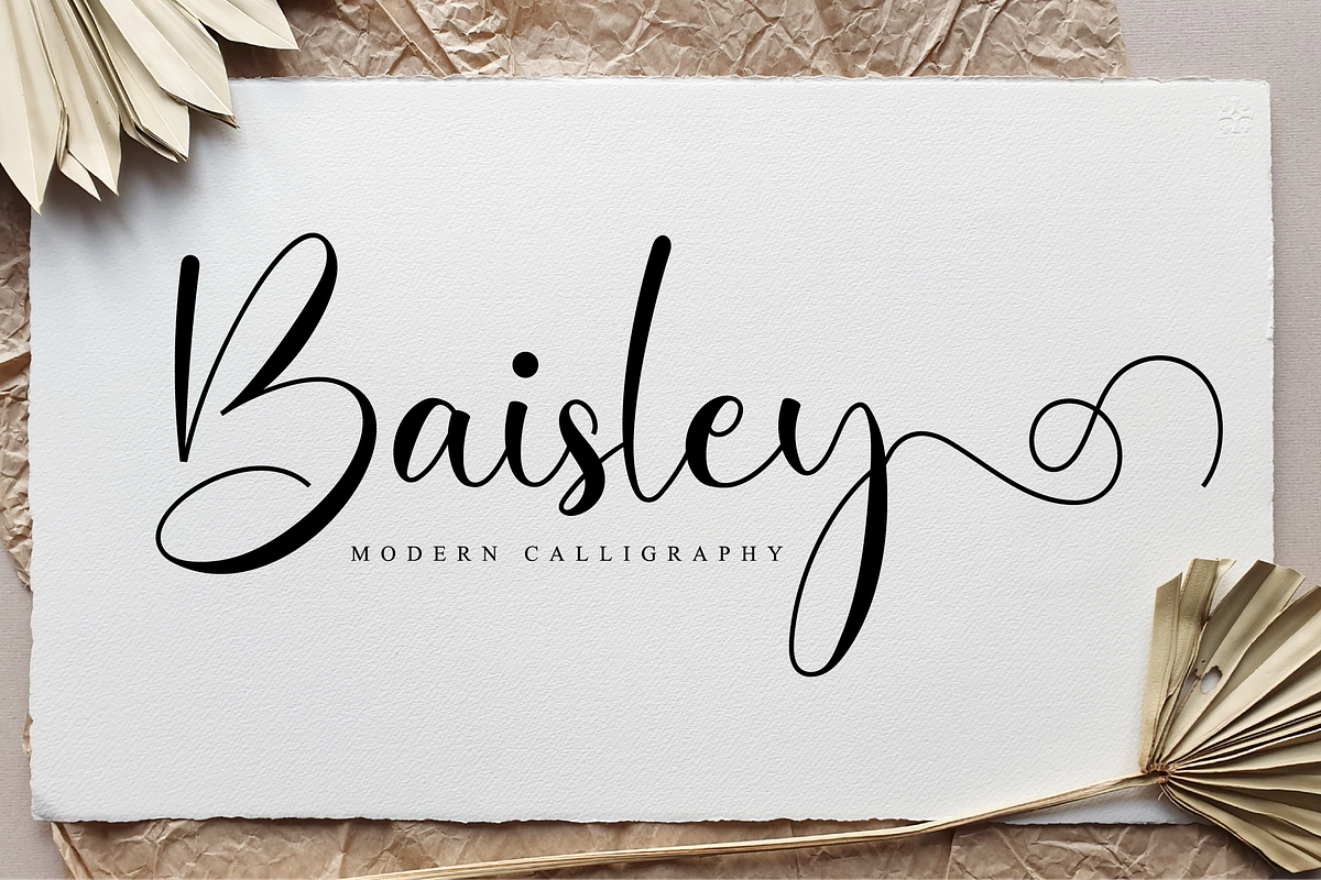 Baisley Script in Script Fonts - product preview 8