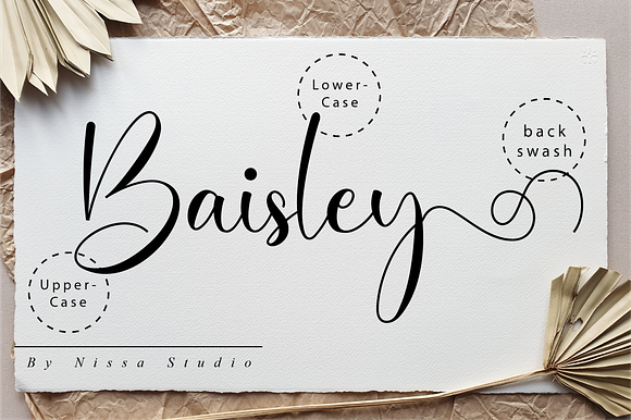 Baisley Script in Script Fonts - product preview 9