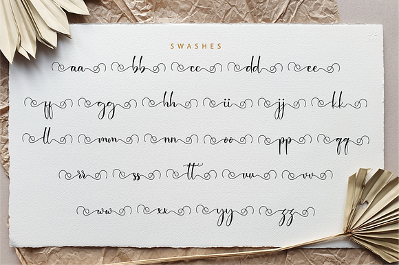 Baisley Script in Script Fonts - product preview 11