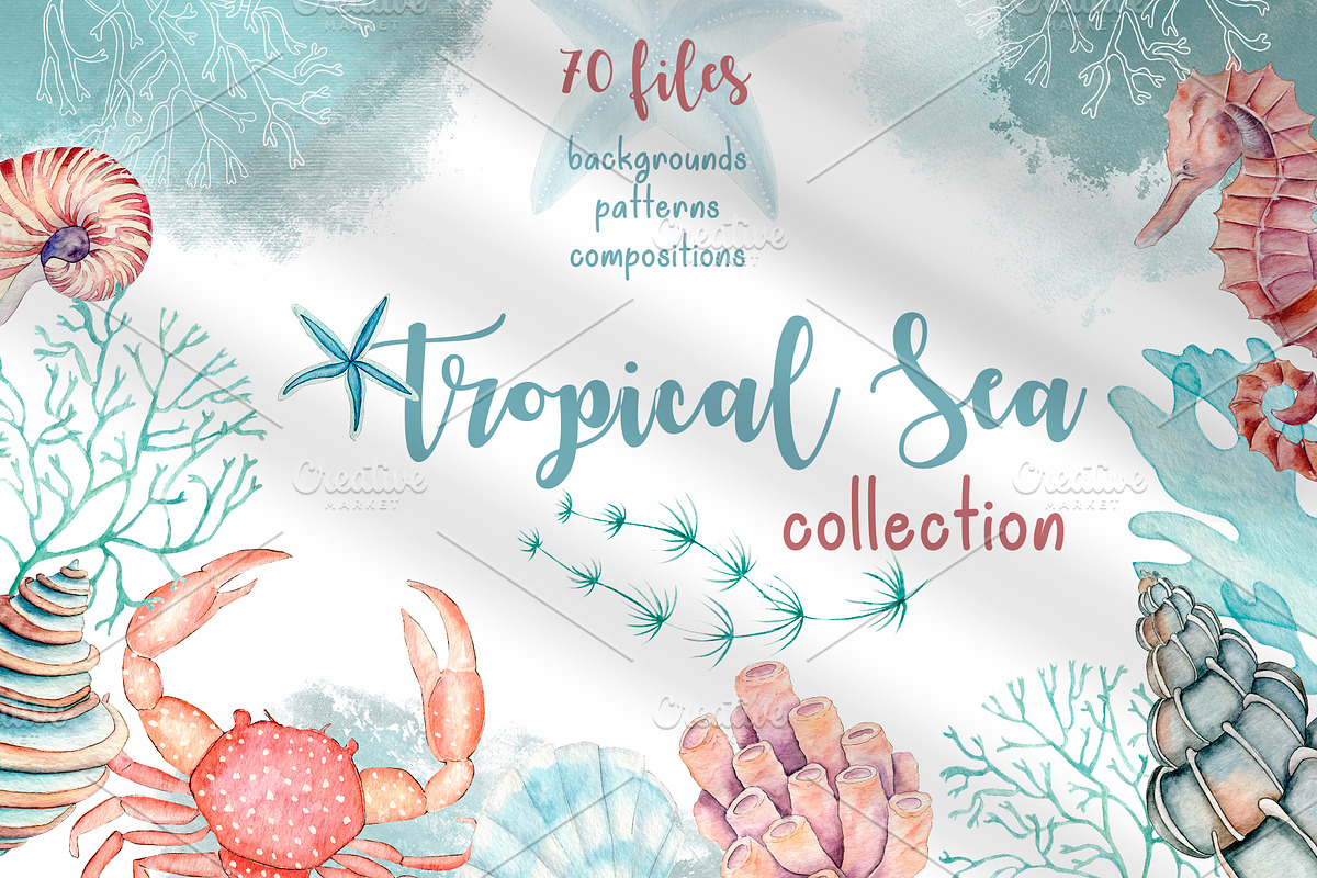 Tropical Sea Collection in Illustrations - product preview 8