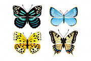 Butterflies Types Set of Icons